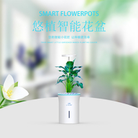 您在(zài)智能小花匠  讓種植更簡單